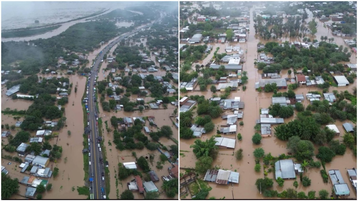 La importancia de contar con un Productor Asesor de Seguros